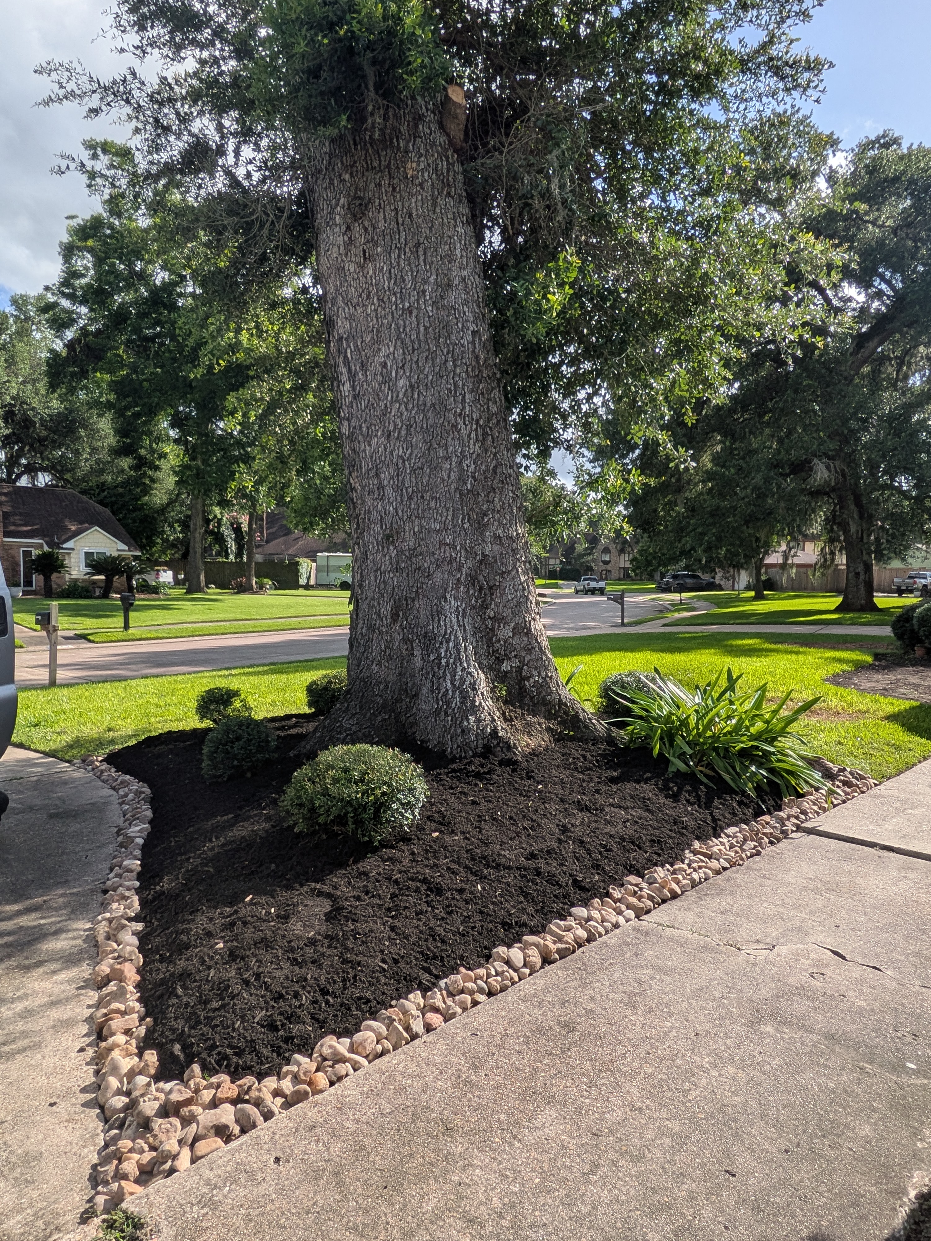Brazoria County residential landscaping project