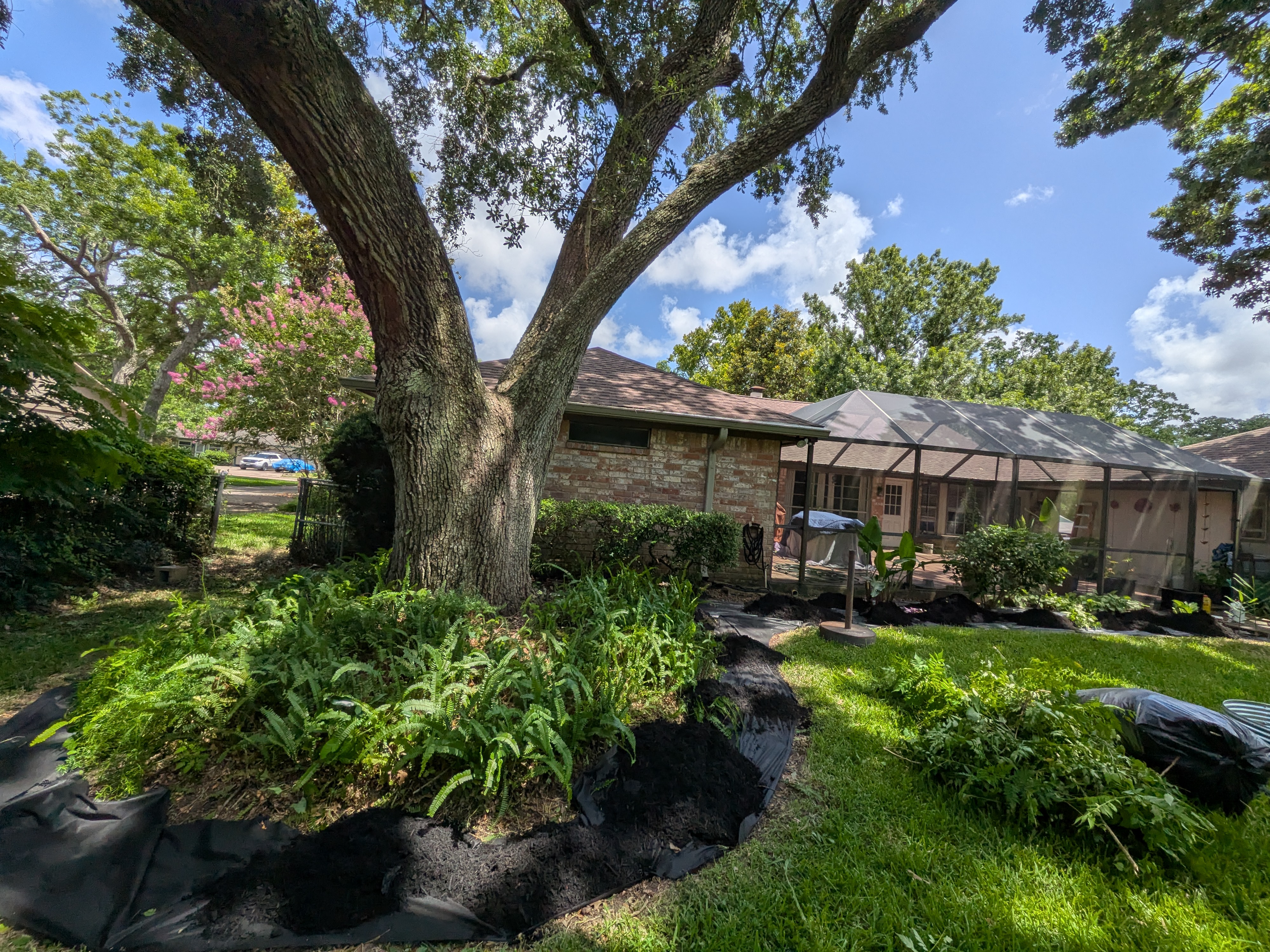 Brazoria County residential landscaping project